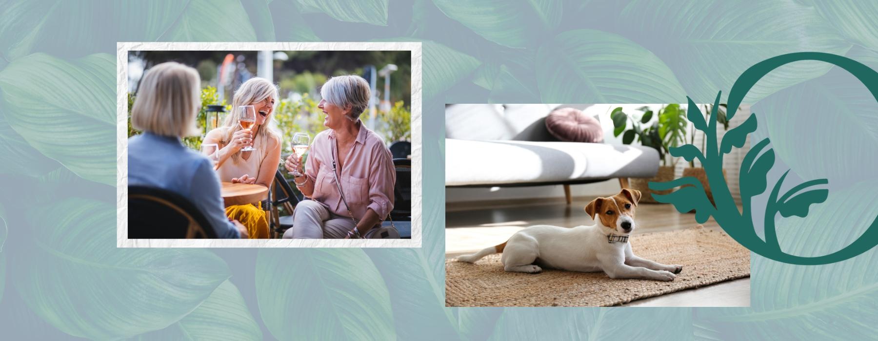 a dog on living floor and women sitting outdoors