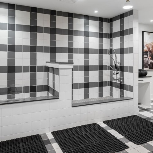 We're a pet-friendly community bright pet salon with wash stations